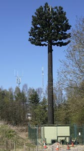Tree shaped mobile phone base station antenna